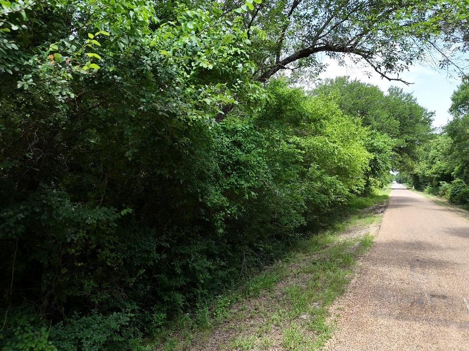 Circle T Ranch - Land