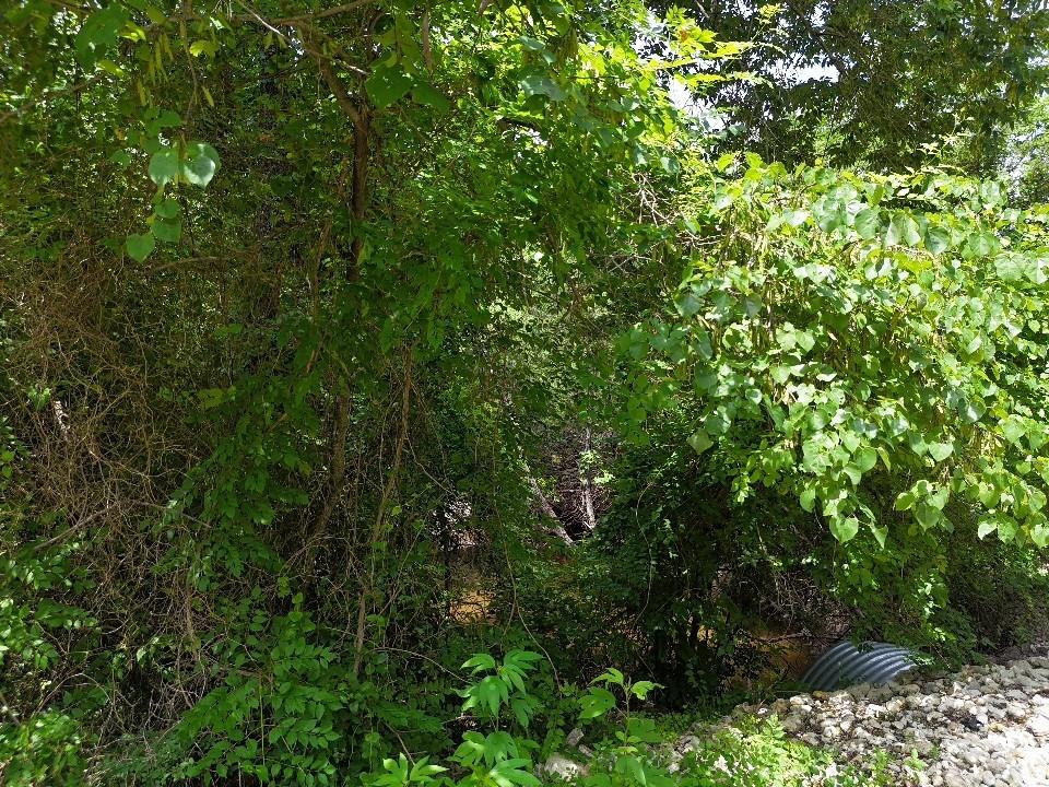 Circle T Ranch - Land