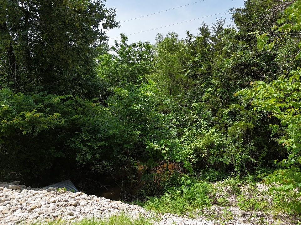 Circle T Ranch - Land