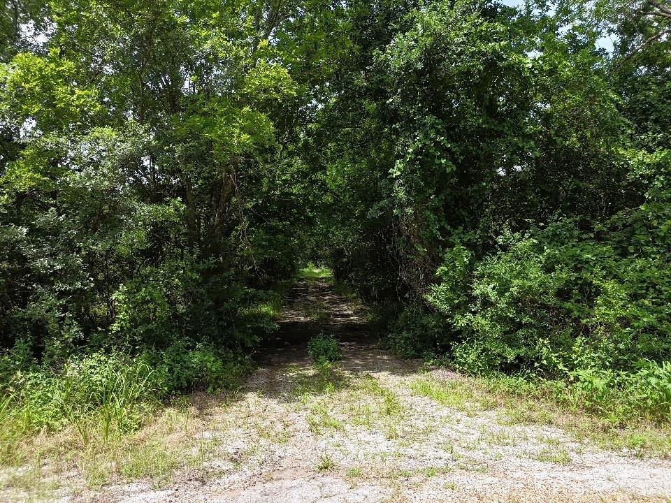 Circle T Ranch - Land