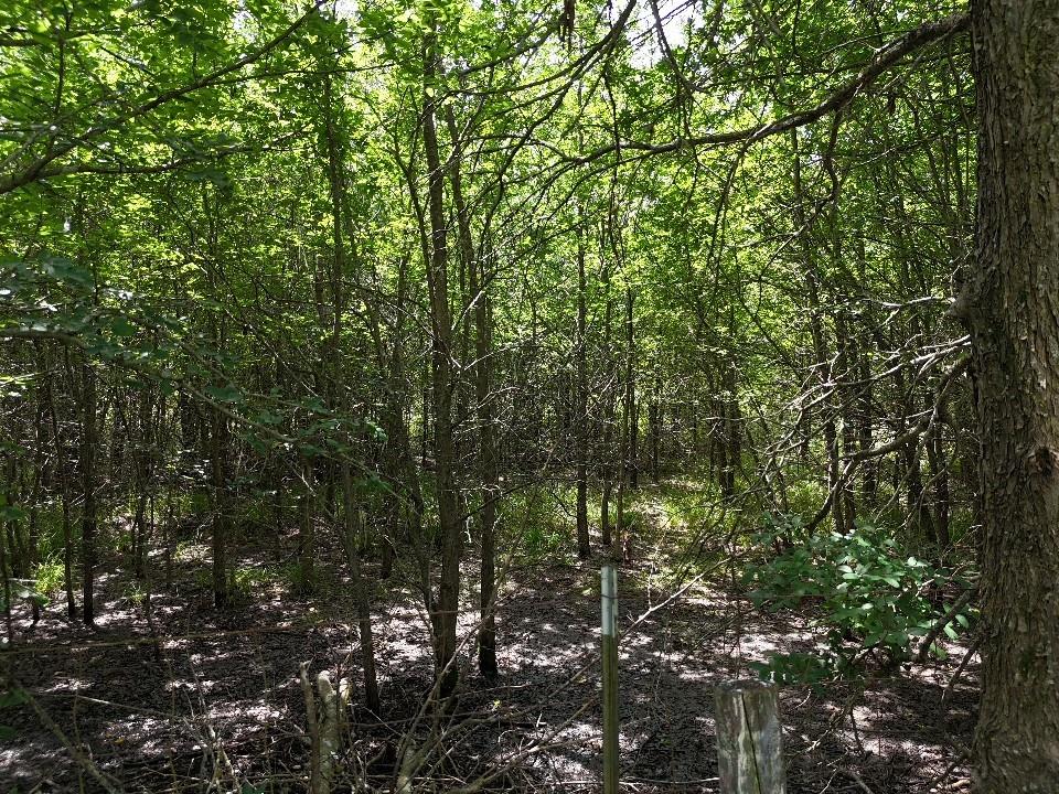 Circle T Ranch - Land