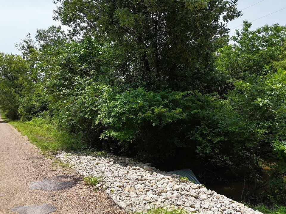 Circle T Ranch - Land