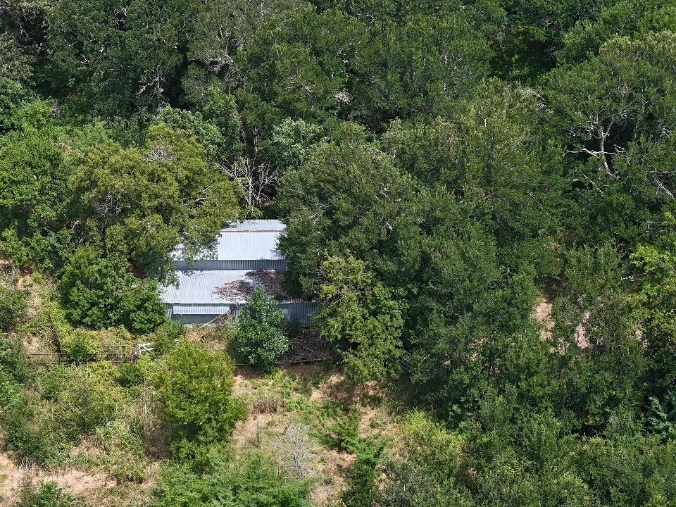 Circle T Ranch - Land