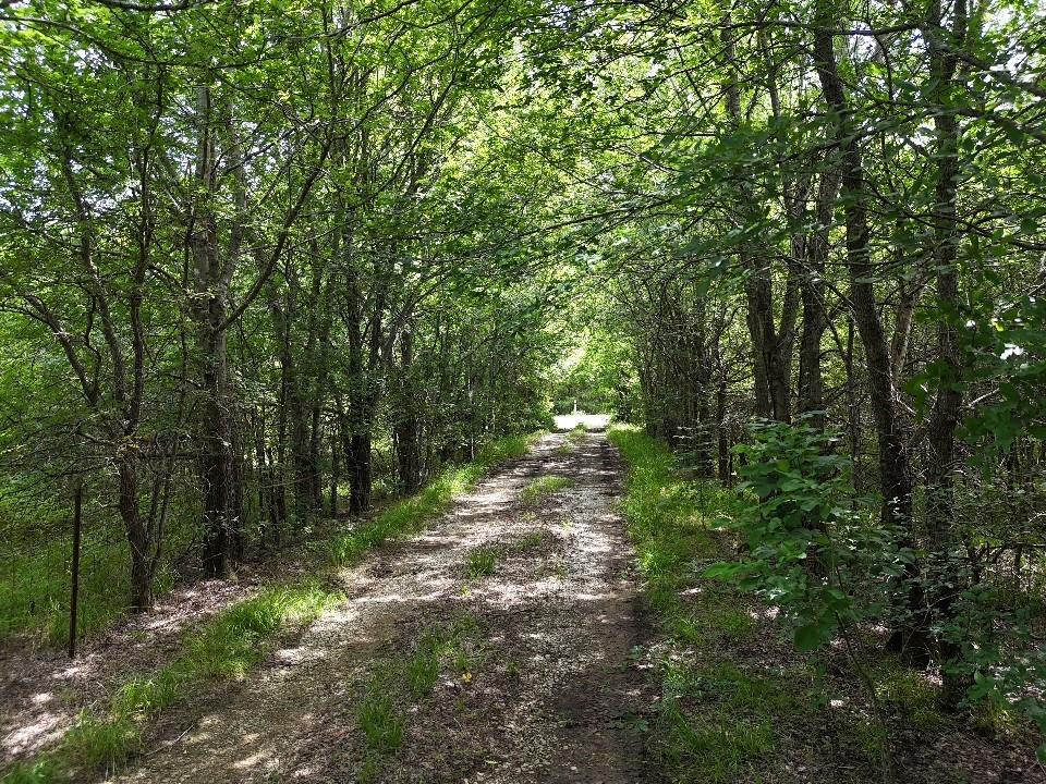 Circle T Ranch - Land