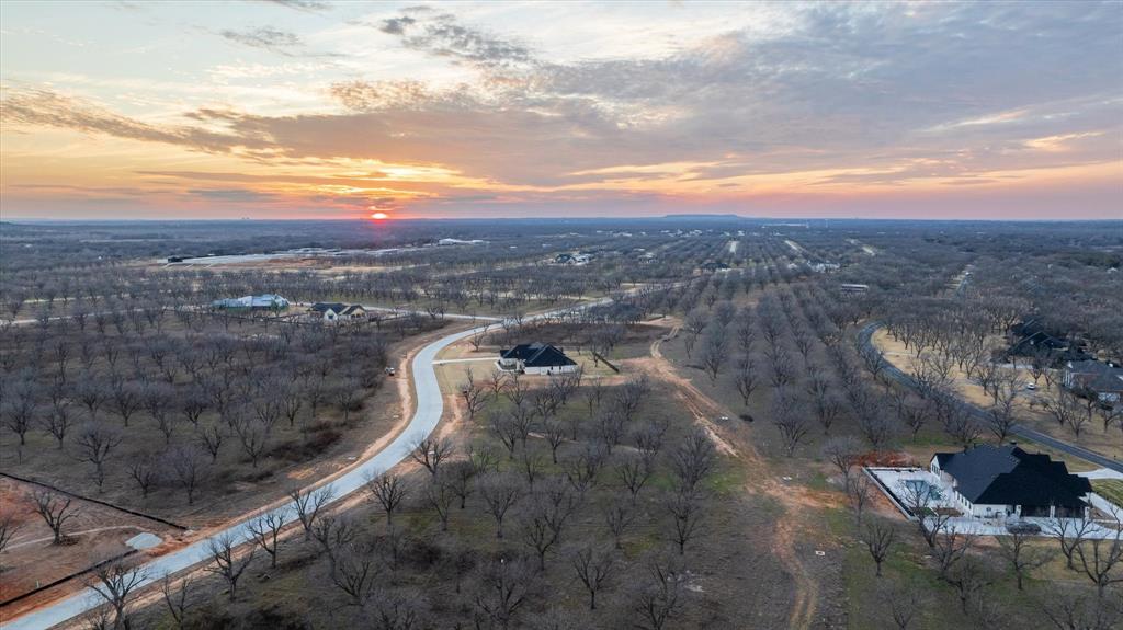 Pecan Plantation - Land