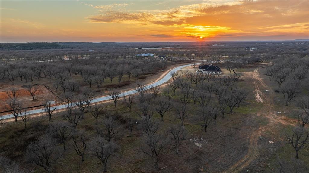 Pecan Plantation - Land