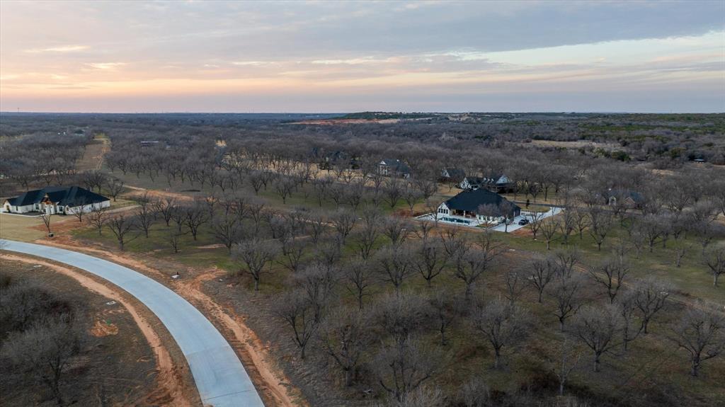 Pecan Plantation - Land