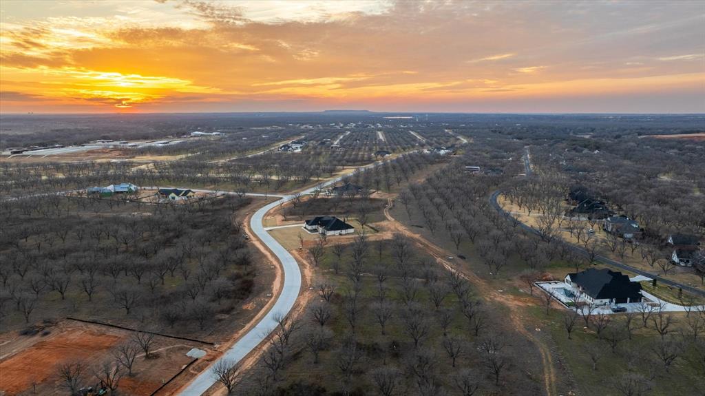 Pecan Plantation - Land