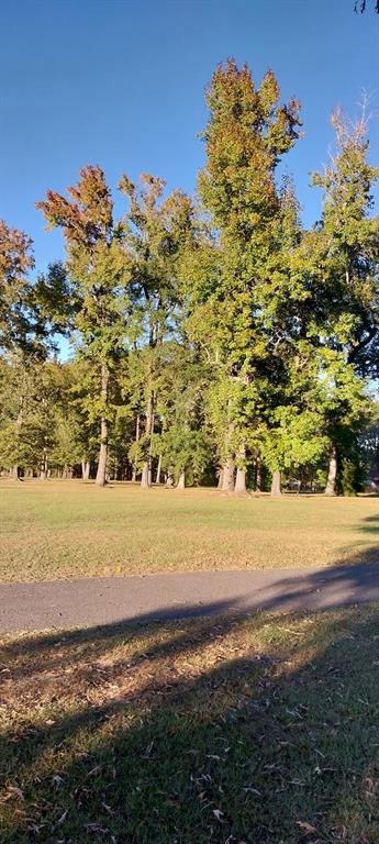 PACKERTS - Residential