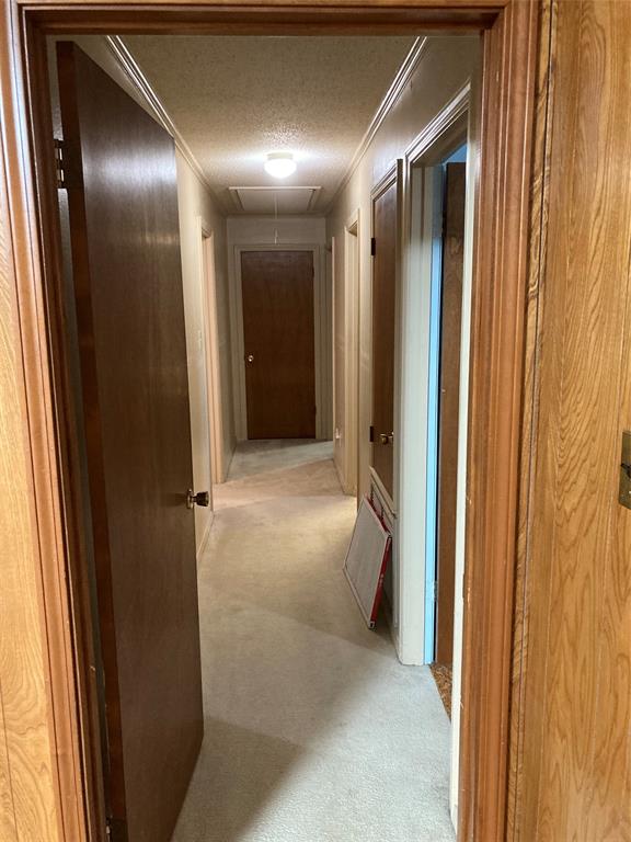 PACKERTS - Residential