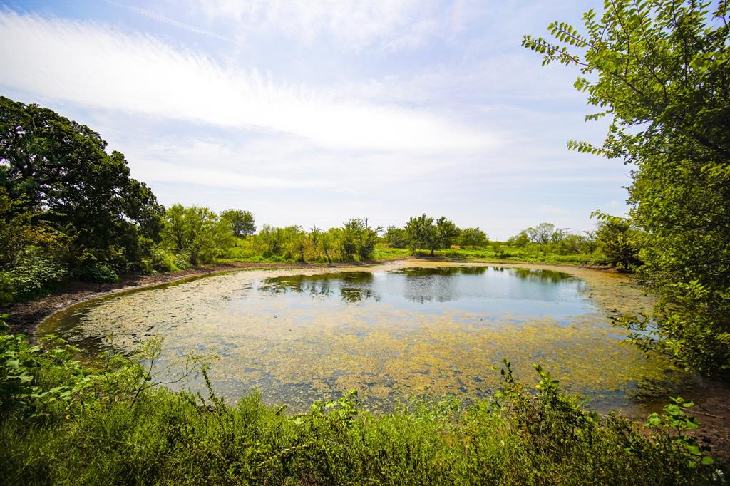 Pasture Holdings - Farm