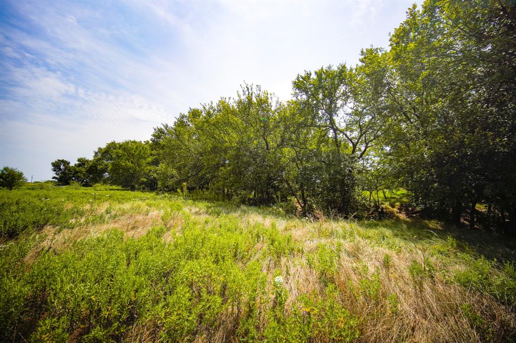 Pasture Holdings - Farm