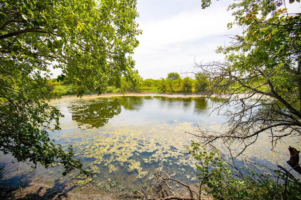 Pasture Holdings - Farm