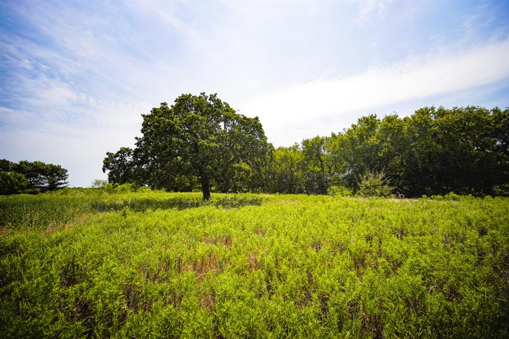 Pasture Holdings - Farm