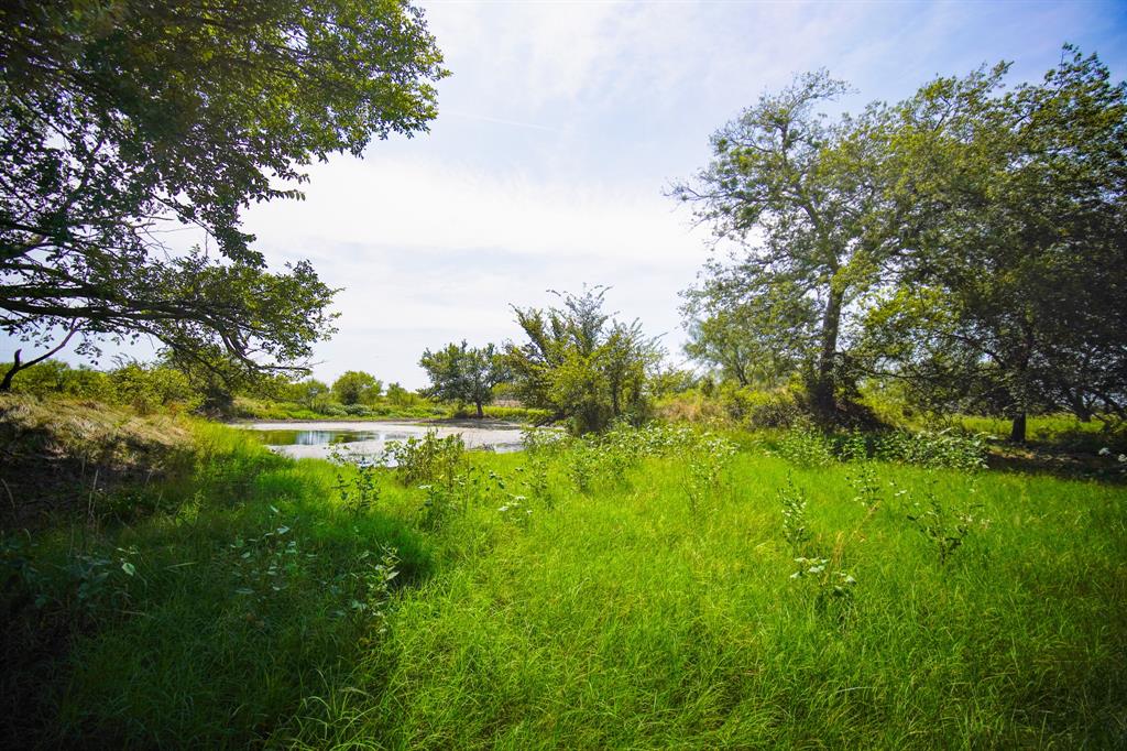 Pasture Holdings - Farm