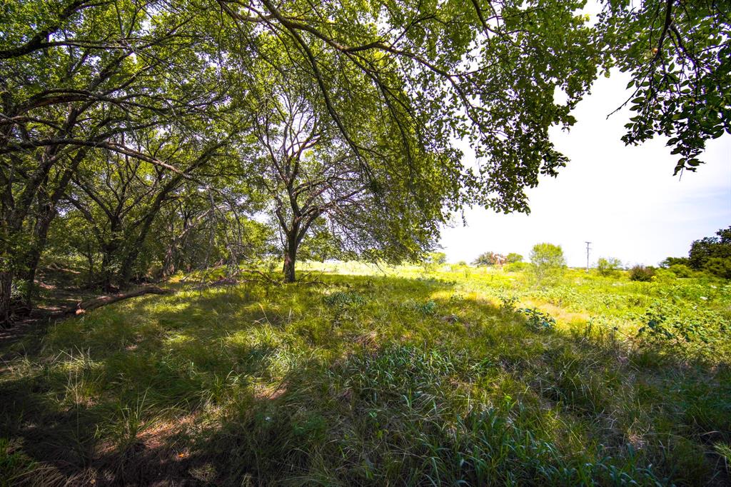 Pasture Holdings - Farm