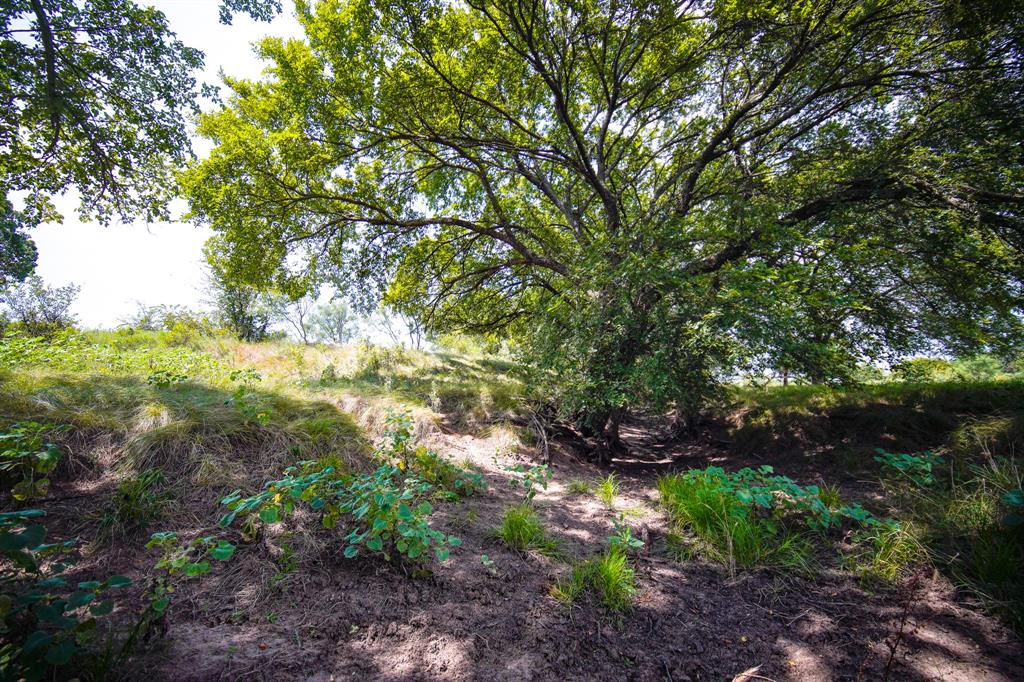 Pasture Holdings - Farm