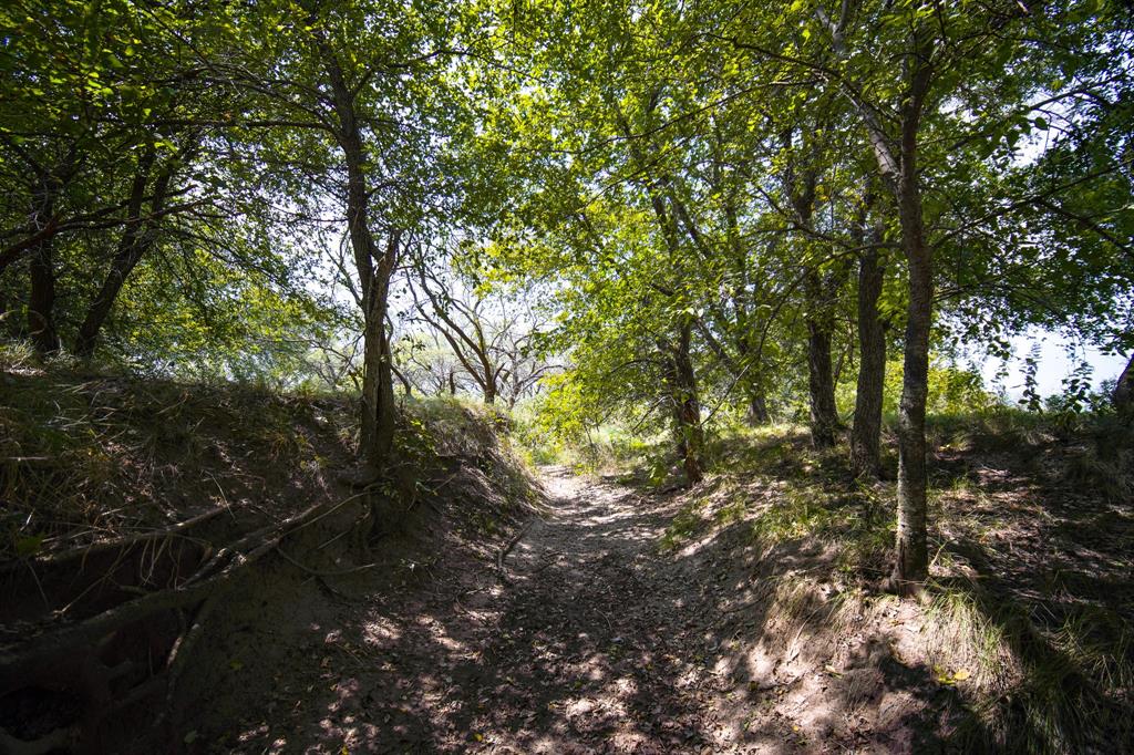 Pasture Holdings - Farm