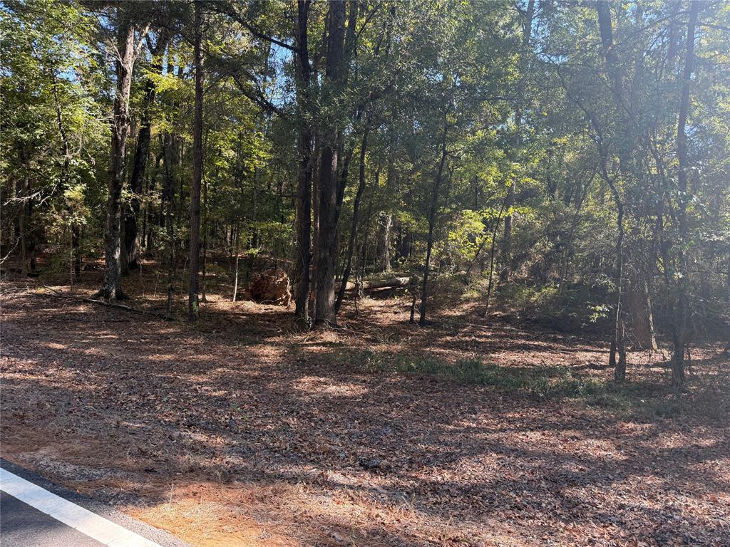 0 Old Plain Dealing Road