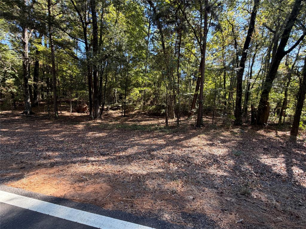 0 Old Plain Dealing Road