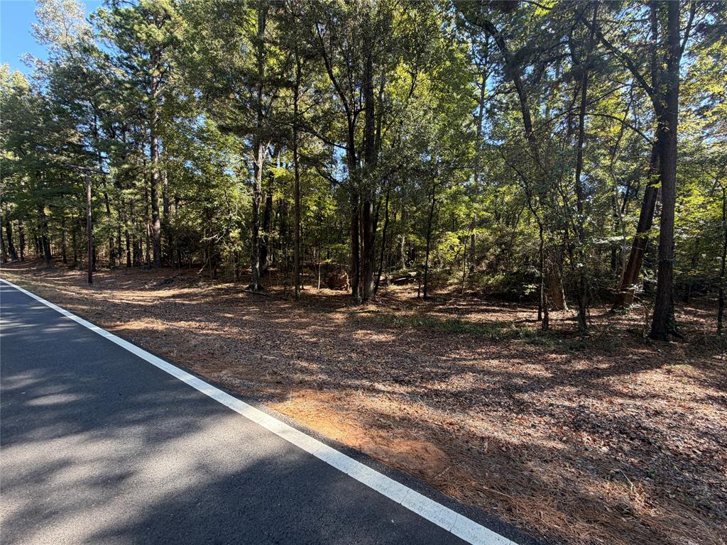 0 Old Plain Dealing Road
