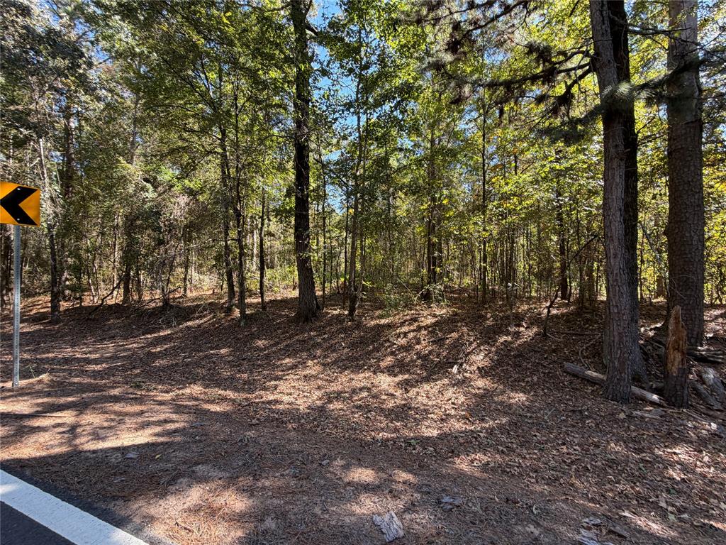 0 Old Plain Dealing Road