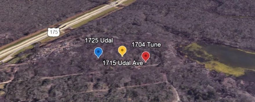 Just minutes from downtown.  One (1) of six (6) lots that must be sold together.  Five (5) are contiguous (1715,1717, 1719, 1721, 1725 Udal).  1704 Tune is adjacent. Seller inherited and has never seen nor set foot on lots.  Seller and Broker make no claims as to what may, can, or cannot be constructed. All Mineral Rights, utilities and easements need to be confirmed.  Per City of Dallas - NO RESIDENTIAL STRUCTURES ALLOWED.  Per City of Dallas, all lots are zoned commercial and sit in flood plain.  Potential agriculture uses must be verified by Buyer.