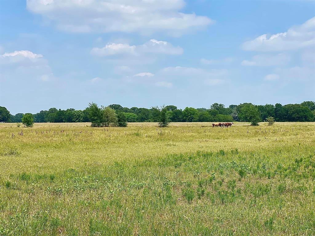 A J Daughtery Surv Abs #124 - Residential