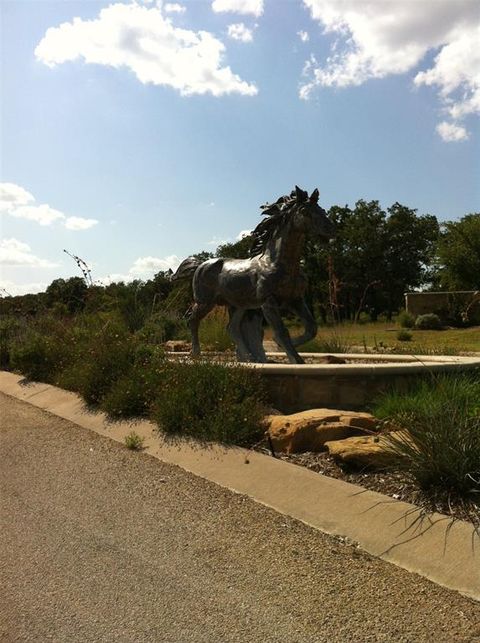 Lot 296 Silver Leaf, Sunset, TX 76270 - #: 20675132