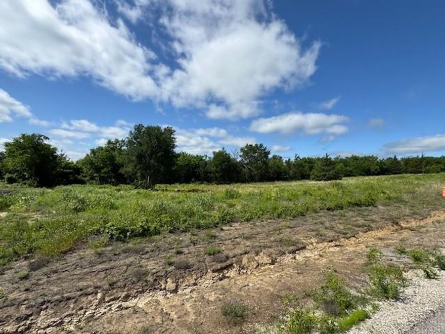 BRING YOUR BUILDER and craft your custom home on this beautiful 1 acre lot located in Hidden Creek Estates!. This wide lot has several native trees and offers plenty of privacy on all sides. There is a heavy tree line along the back of the Lot. And best of all... No HOA! Hidden Creek Estates is conveniently located within a 5 minute drive of US 75, and only 10 minutes to downtown Van Alstyne. You will love this location in the highly sought after VAISD, with 5G Fiber internet as as a bonus. If you are considering moving to Van Alstyne, give us a call and let's make a plan.