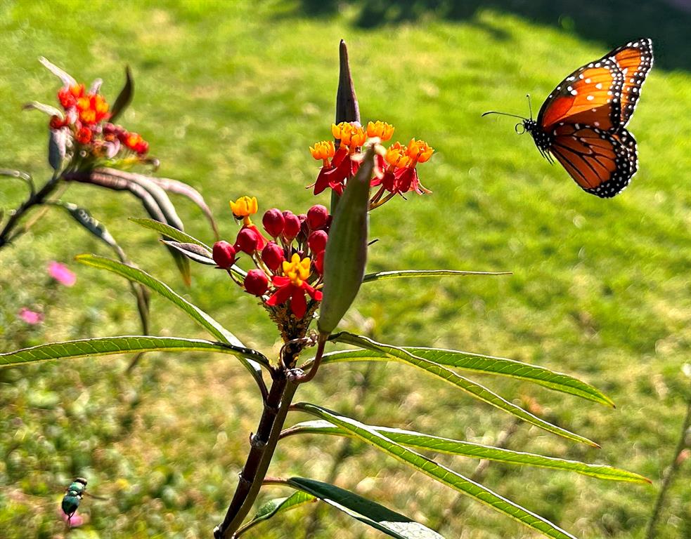 11209 Amber Valley Drive