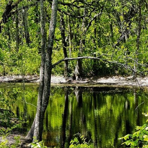 000 Cr-1204 Blue Ridge TX 75424
