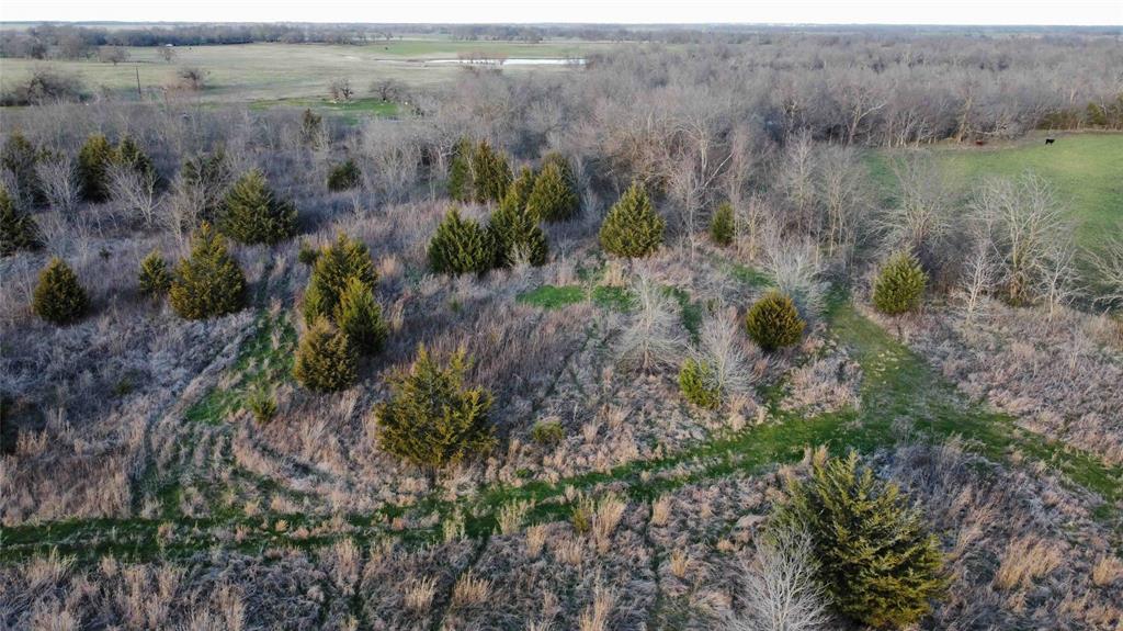 Tract 7 TBD County Road 3425