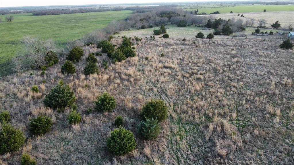 Tract 7 TBD County Road 3425