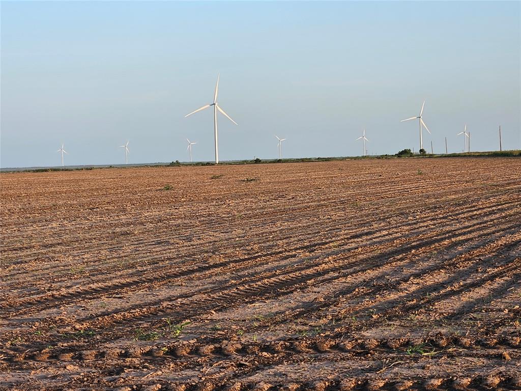 1.5 Acres County Road 235