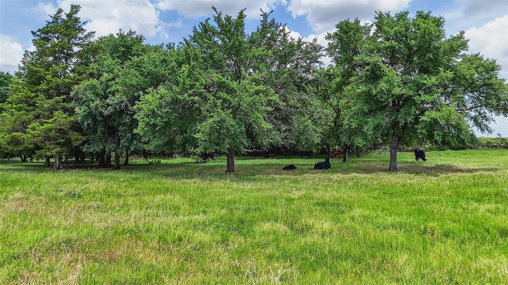 Charles Scarborough Surv Abs # - Residential