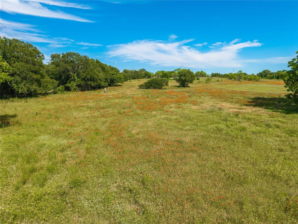 92.195 Acres TBD County Road 434