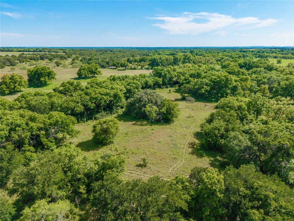 92.195 Acres TBD County Road 434