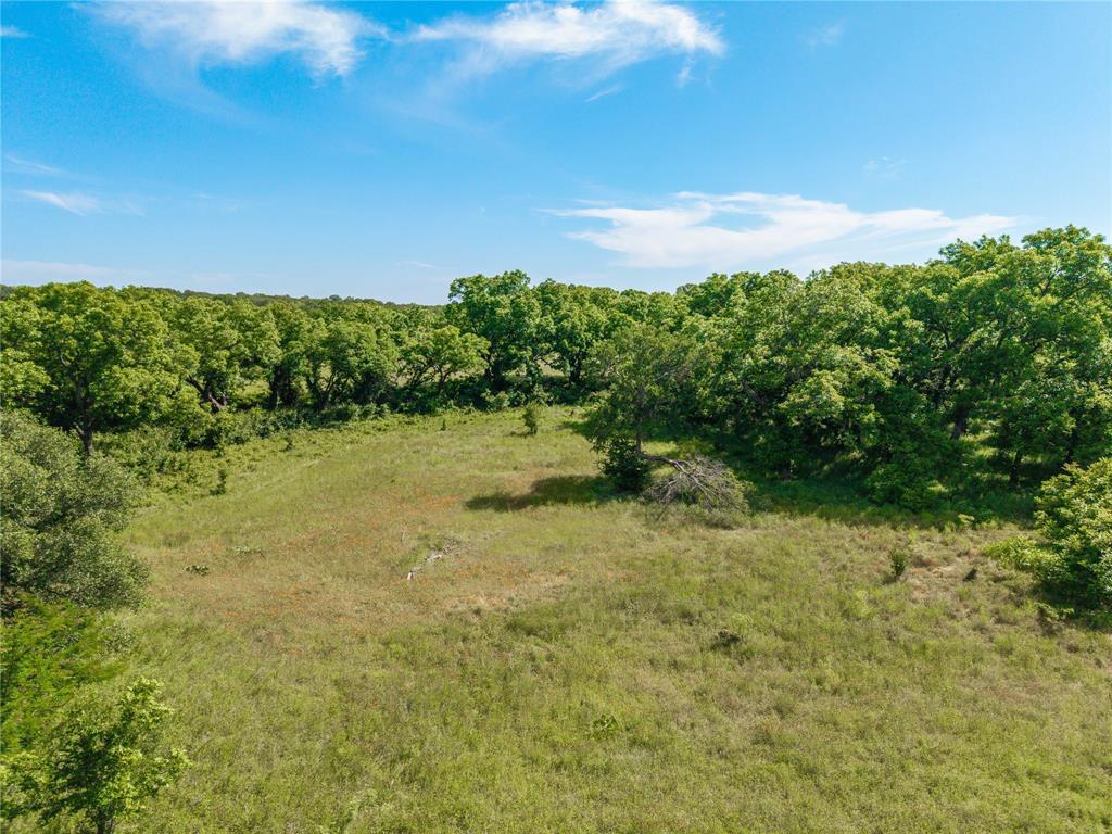 92.195 Acres TBD County Road 434