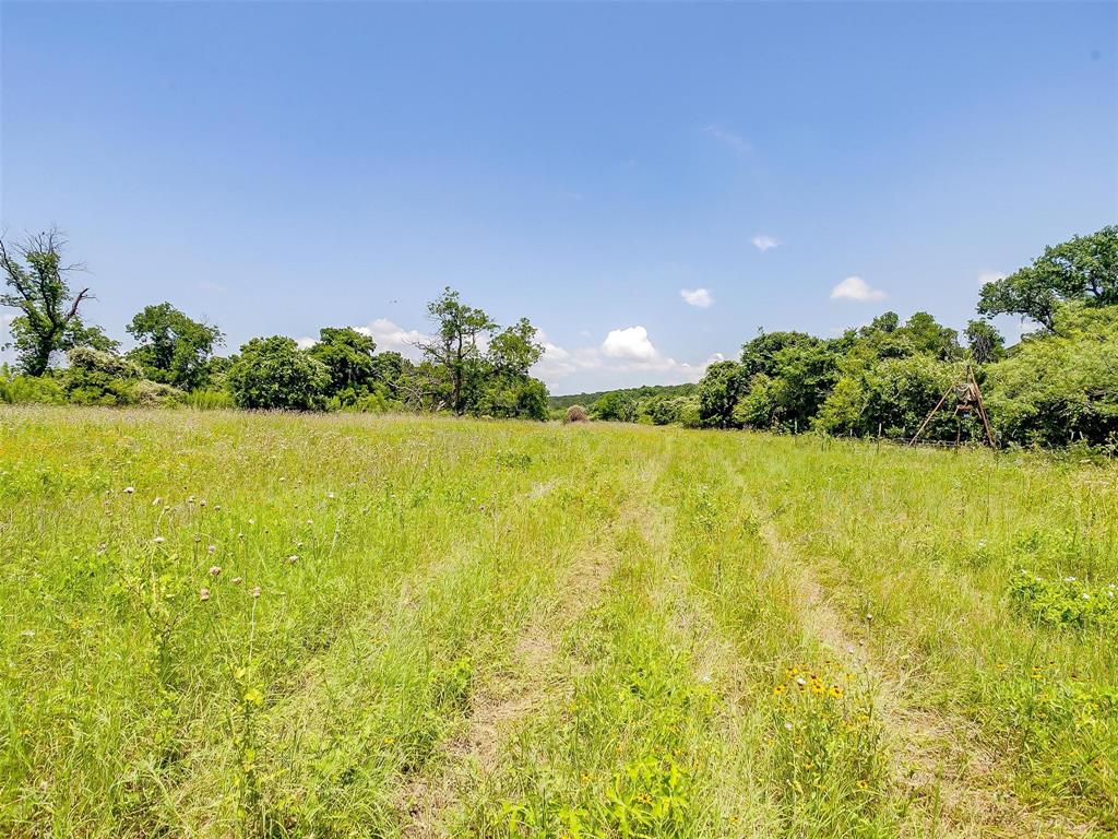 Milam County School Land Surv - Land