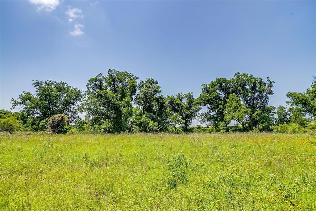 Milam County School Land Surv - Land