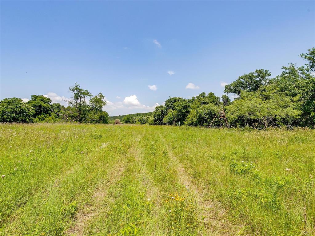 Milam County School Land Surv - Land