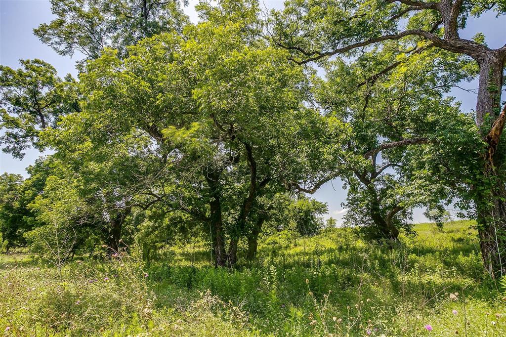 Milam County School Land Surv - Land