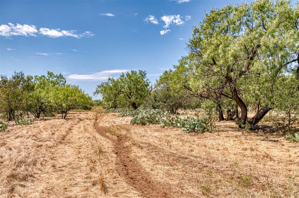 TBD County Road 306