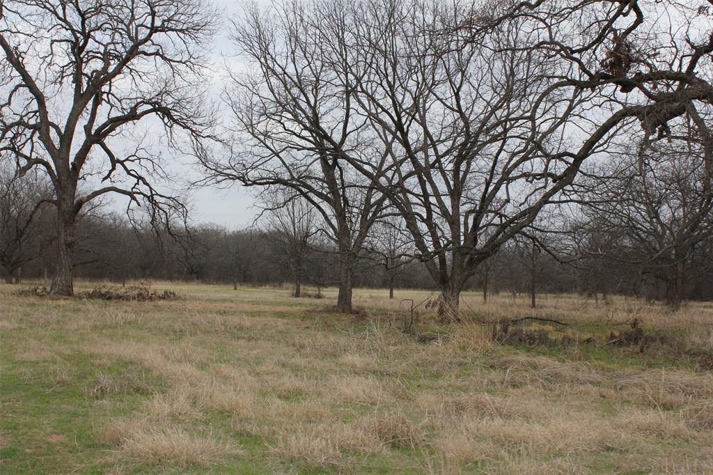 110.003 AB 432 OSCAR F LEVERETT SURVEY - Farm