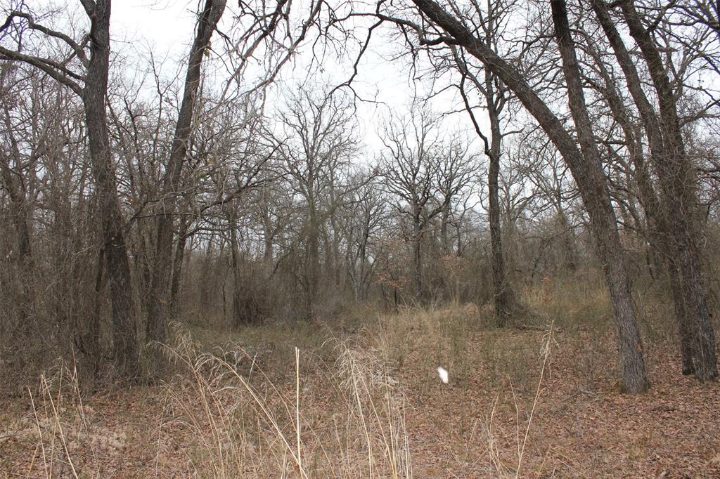 110.003 AB 432 OSCAR F LEVERETT SURVEY - Farm