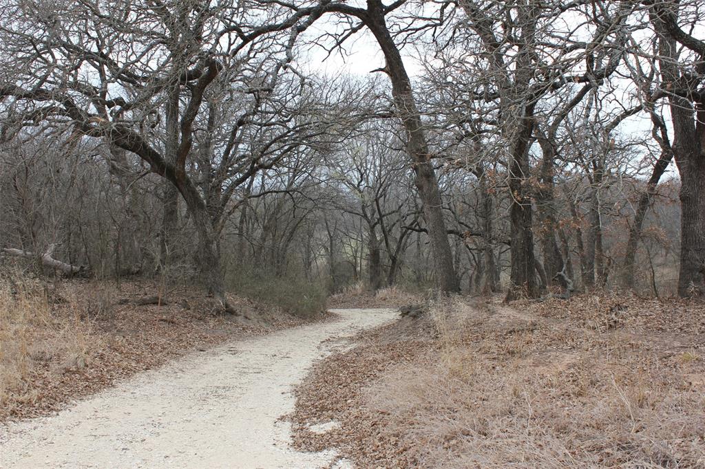 110.003 AB 432 OSCAR F LEVERETT SURVEY - Farm