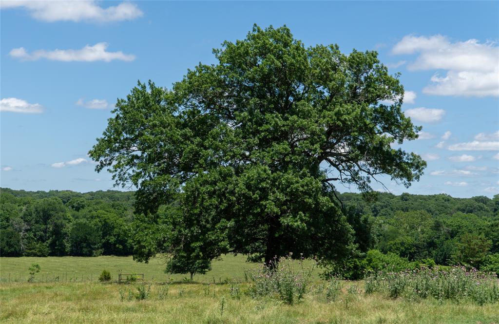 G-0326 DUGAN GEORGE G A-G0326, ACRES 42.3 - Land