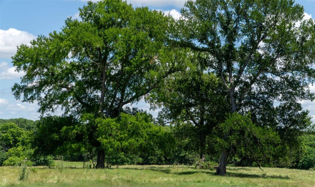 G-0326 DUGAN GEORGE G A-G0326, ACRES 42.3 - Land