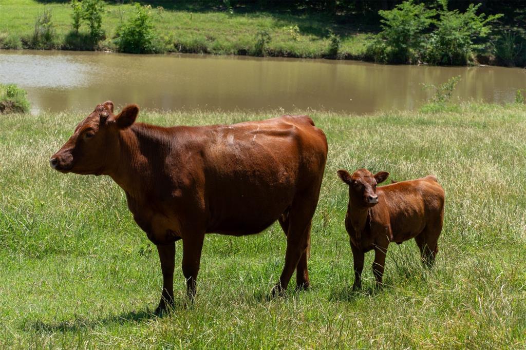 G-0326 DUGAN GEORGE G A-G0326, ACRES 42.3 - Land